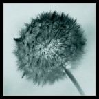 In ogni atomo In ogni atomo