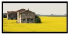 senza titolo senza titolo