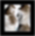 false nudità false nudità