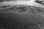 Spiaggia d'inverno Spiaggia d'inverno