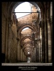 In questa chiesa senza pi il tetto ormai, c' una luce molto particolare che piove dall'alto. Incosueta per una chiesa.