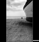 ::: IN ATTESA DELL'ESTATE ::: ::: IN ATTESA DELL'ESTATE :::