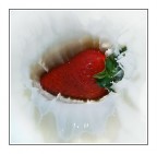 Red Passion Red Passion