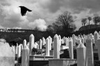 Sarajevo Sarajevo