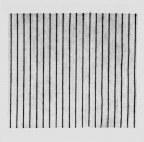 TUTTI IN RIGA TUTTI IN RIGA