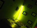 Green toilet Green toilet