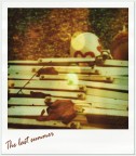 The last summer The last summer