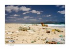 sulla spiaggia dell'oceano atlantico...tra le cose portate fuori dal mare...anche una sirenetta; isola di sal,playa de fregata,capoverde; marzo 2009