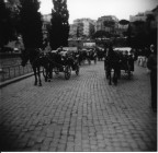 Cavalli a Roma Cavalli a Roma