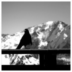 alta quota alta quota