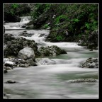 Sospiro di Driade Sospiro di Driade