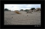 Sand