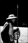 Don Quijote Don Quijote