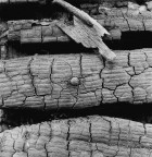 RUGHE DEL TEMPO RUGHE DEL TEMPO