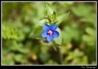 f/5,6
1/200
55mm
ISO-100