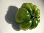 POMODORO POMODORO