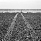 Impronte.......... Impronte..........