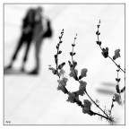 ..poesia.. ..poesia..