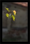 st
