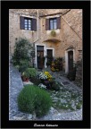 scorcio botanico