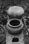 naturamorta naturamorta