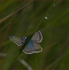 Nascosta.. Nascosta..