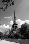 La torre di Parigi La torre di Parigi