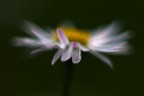 Ipersfocale