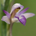 Era quasi notte... Era quasi notte...