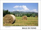Balle di fieno Balle di fieno