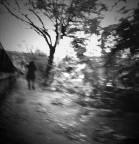 Autumn Leavs Autumn Leavs