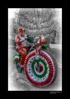 Pedala italia...pedala Pedala italia...pedala