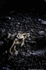 nascita e morte accidentale di una coppia di anarchici nascita e morte accidentale di una coppia di anarchici