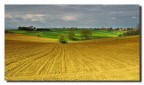 Tra Umbria e Toscana 2 Tra Umbria e Toscana 2