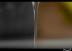 l'ottimismo e il pessimismo l'ottimismo e il pessimismo