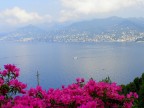 Vista di Camogli Vista di Camogli