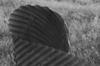 Conchiglie di latta Conchiglie di latta