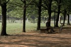 anche questa foto  stata scattata per un concorso di fotografia locale, molto graditi commenti e critiche