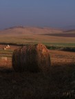 Il fieno e l' Alba Il fieno e l' Alba