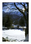 Paesaggio innevato Paesaggio innevato