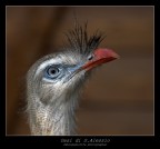 oasi di S.Alessio oasi di S.Alessio