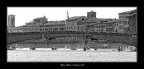 Pisa Regata delle Repubbliche Marinare Pisa Regata delle Repubbliche Marinare