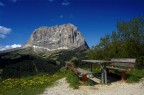 Il Sassolungo Il Sassolungo