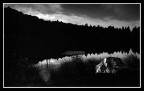 lake lake