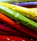 Il segreto dell'acqua (5) Il segreto dell'acqua (5)