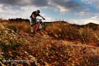 freeride freeride