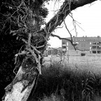 Il mio quartiere 006 Il mio quartiere 006