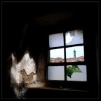 The window The window