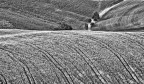 Campagna Toscana Campagna Toscana