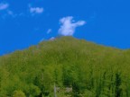 foto scattata durante un'escursione in garfagnana la scorsa primavera.